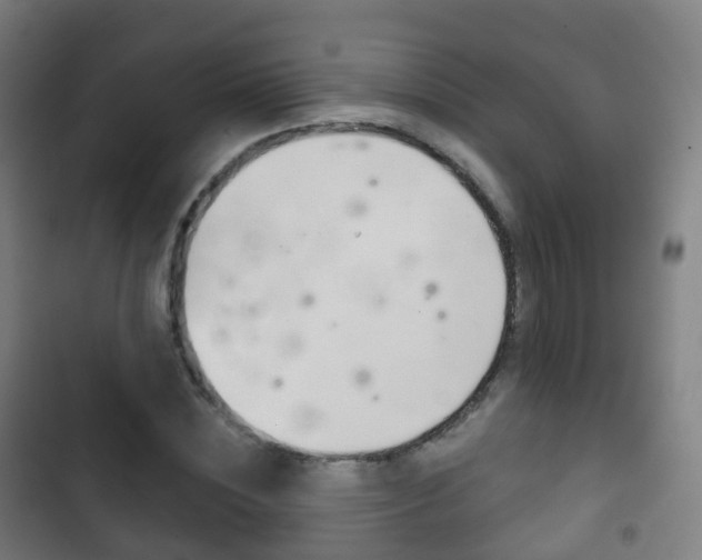 X0000103400828200809120921