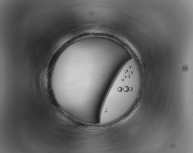 X0000103400829200809120921