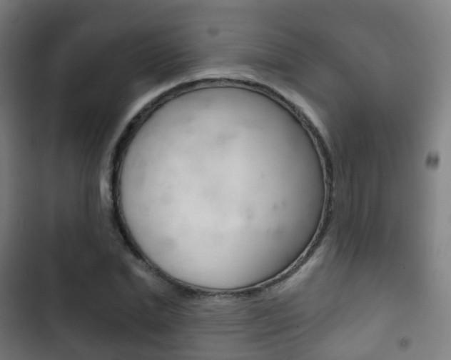 X0000103400830200809120922