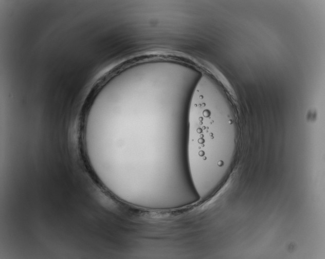 X0000103400831200809120922