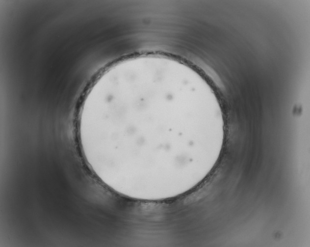 X0000103400832200809120922