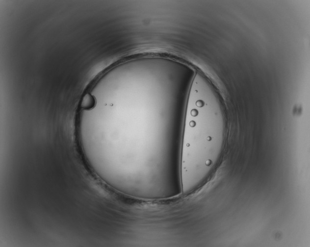 X0000103400834200809120922