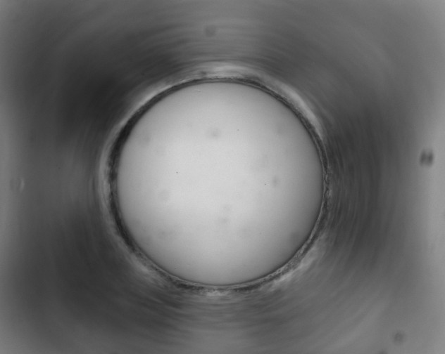 X0000103400835200809120922