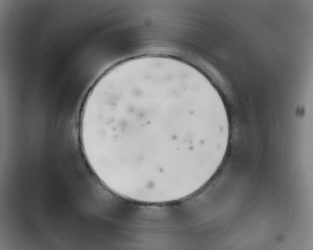X0000103400836200809120922