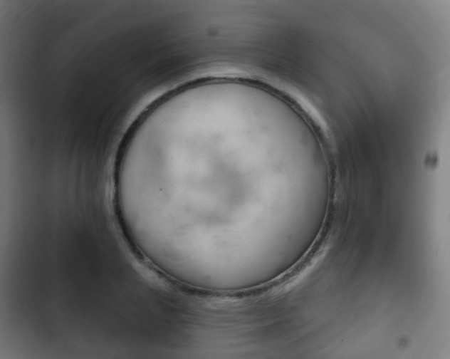 X0000103400837200809120922