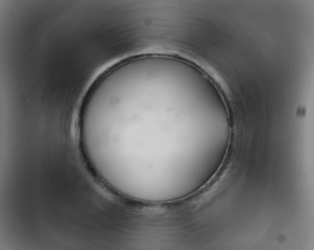 X0000103400838200809120922
