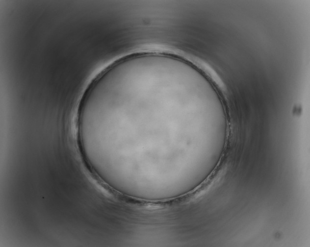 X0000103400839200809120922