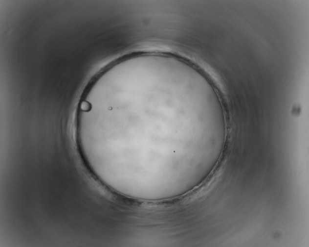 X0000103400840200809120922