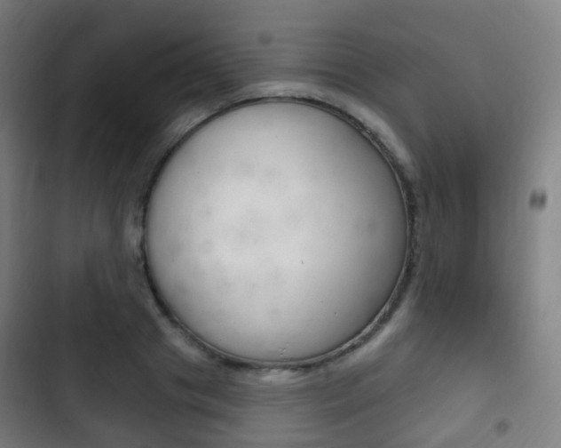 X0000103400841200809120922