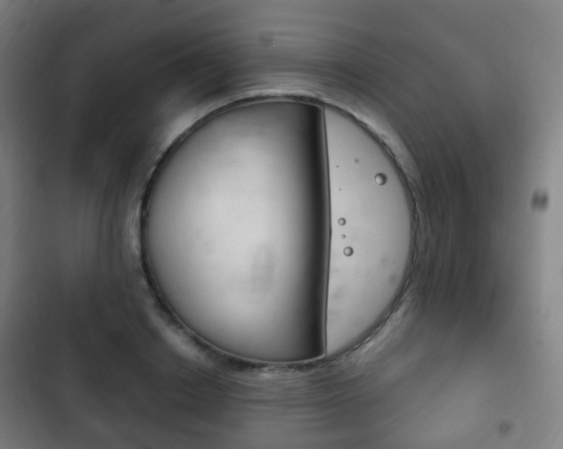 X0000103400842200809120922