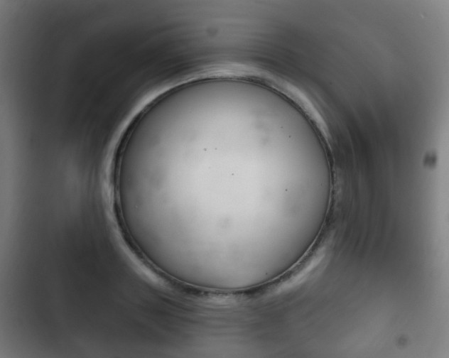 X0000103400843200809120922