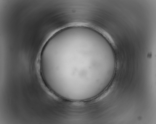 X0000103400844200809120922