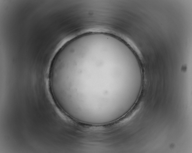 X0000103400845200809120922