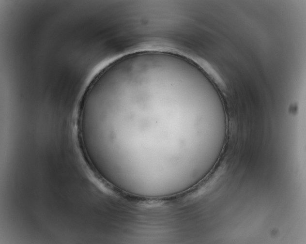 X0000103400846200809120922