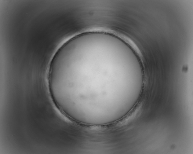 X0000103400847200809120922