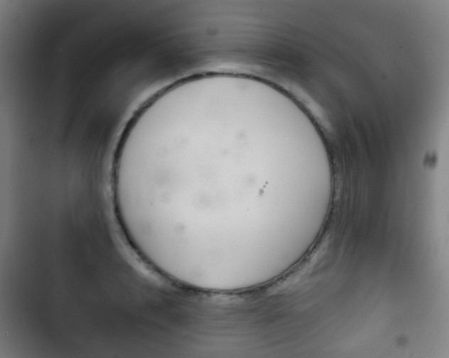 X0000103400848200809120922