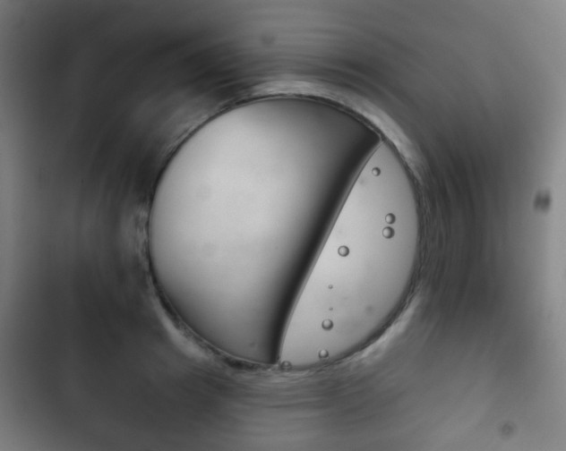 X0000103400849200809120922