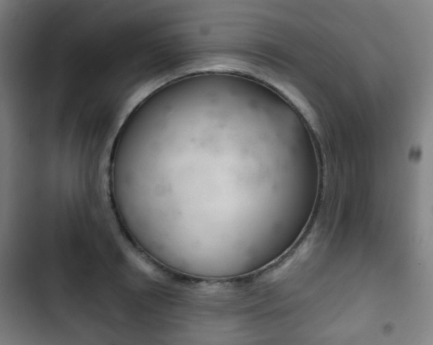 X0000103400850200809120922