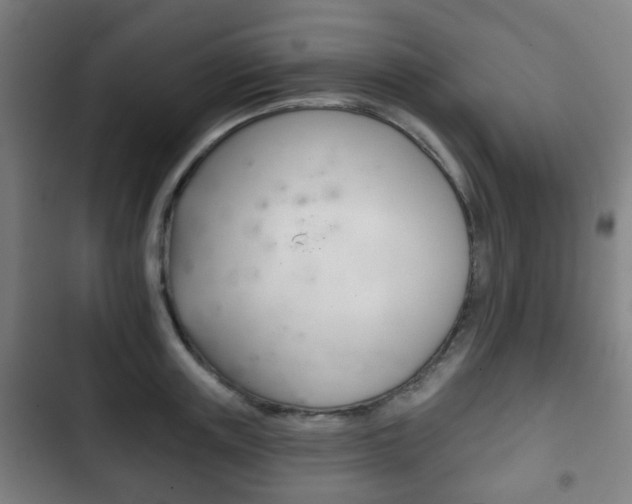 X0000103400851200809120922