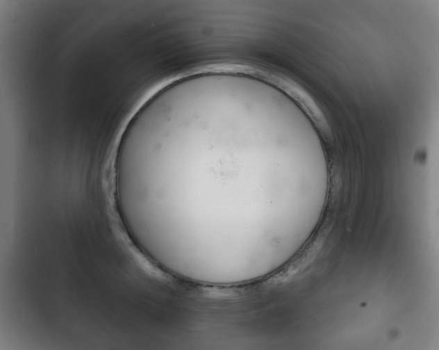 X0000103400852200809120922