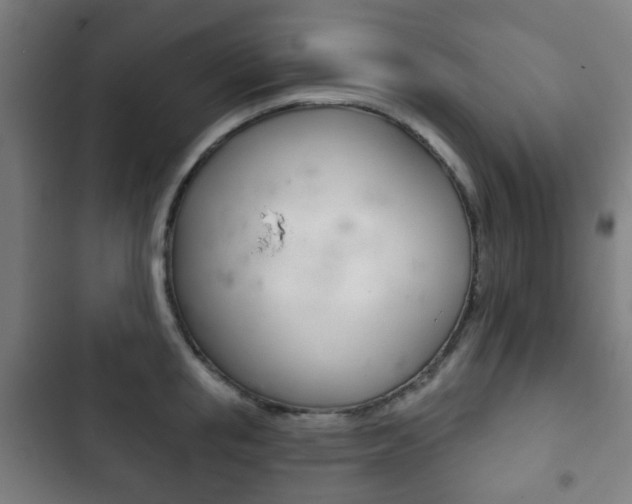 X0000103400853200809120922