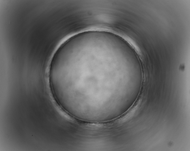 X0000103400854200809120922