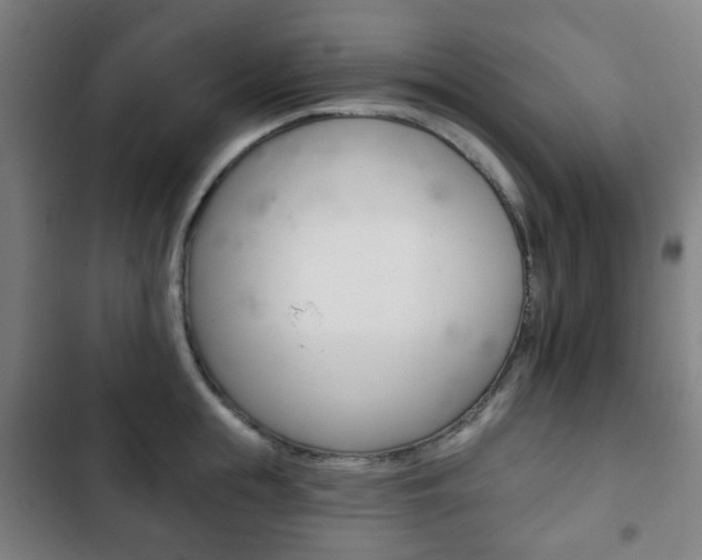 X0000103400855200809120922