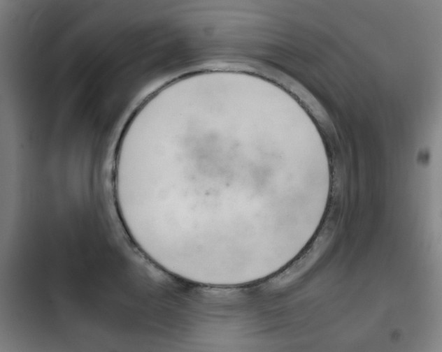 X0000103400856200809120922