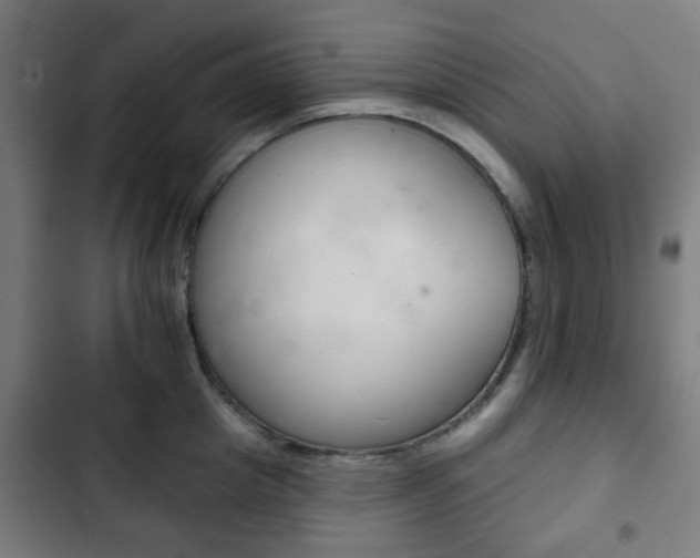 X0000103400857200809120922