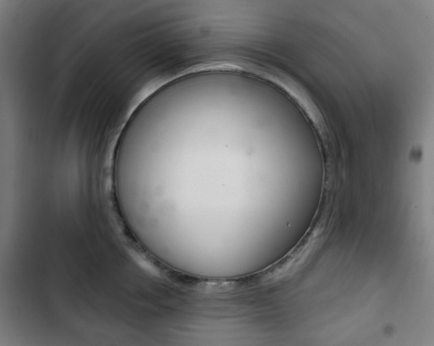 X0000103400858200809120922