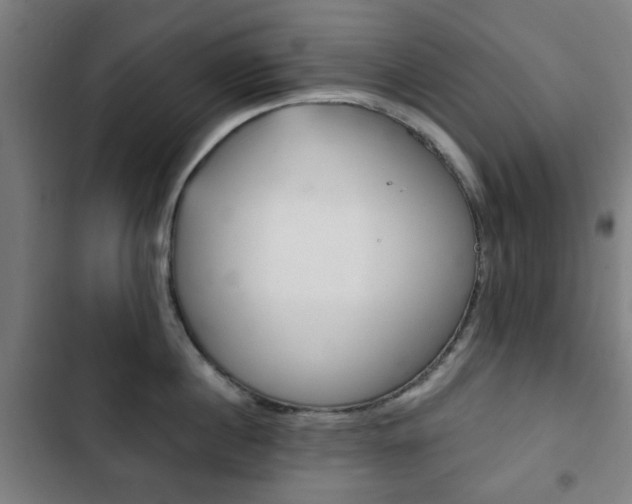 X0000103400860200809120922