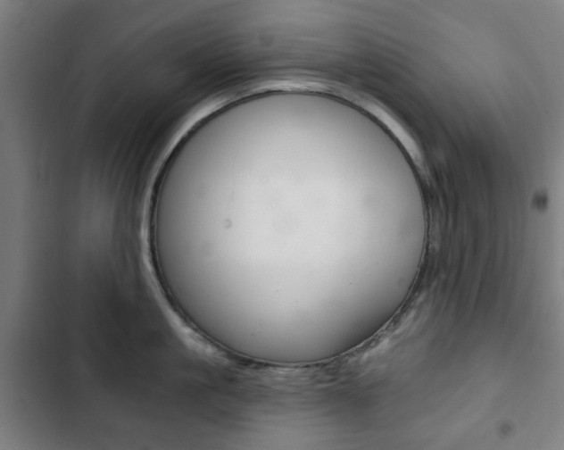 X0000103400861200809120922