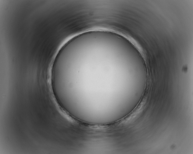 X0000103400862200809120922