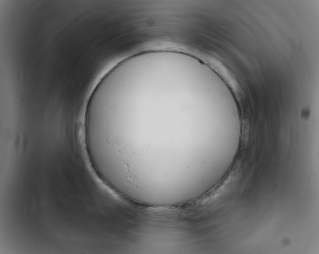 X0000103400863200809120922