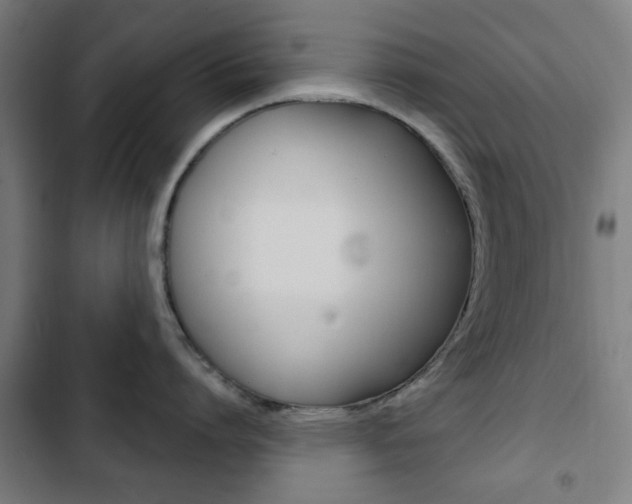 X0000103400864200809120922