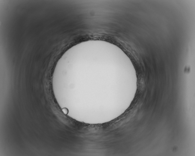 X0000103400865200809120921