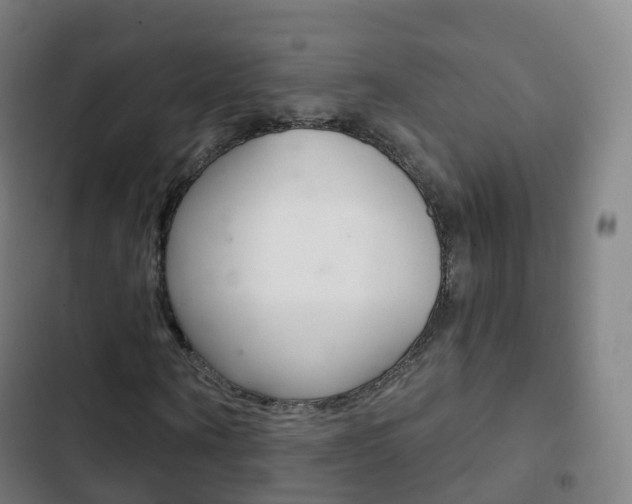 X0000103400866200809120921