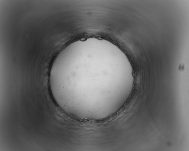 X0000103400868200809120921