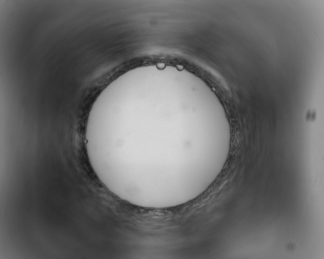 X0000103400869200809120921