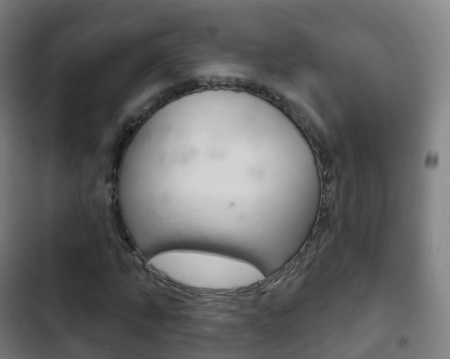 X0000103400870200809120921