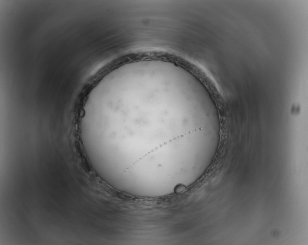X0000103400871200809120921