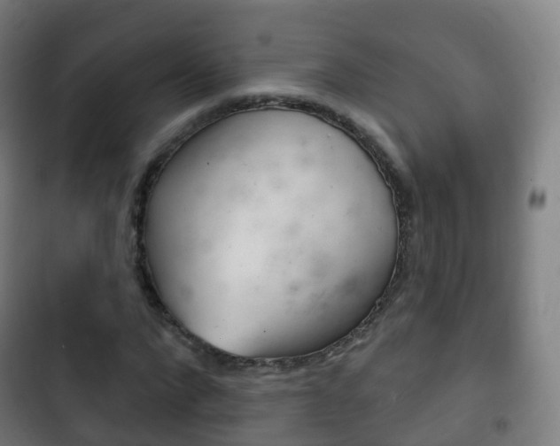 X0000103400872200809120921