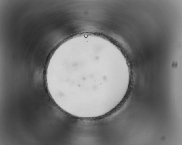 X0000103400873200809120921