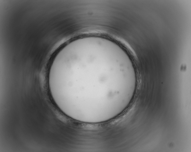 X0000103400874200809120921