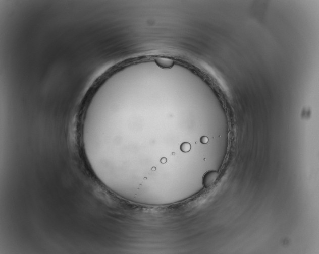 X0000103400875200809120921