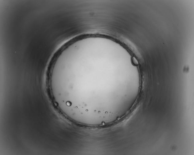 X0000103400876200809120921