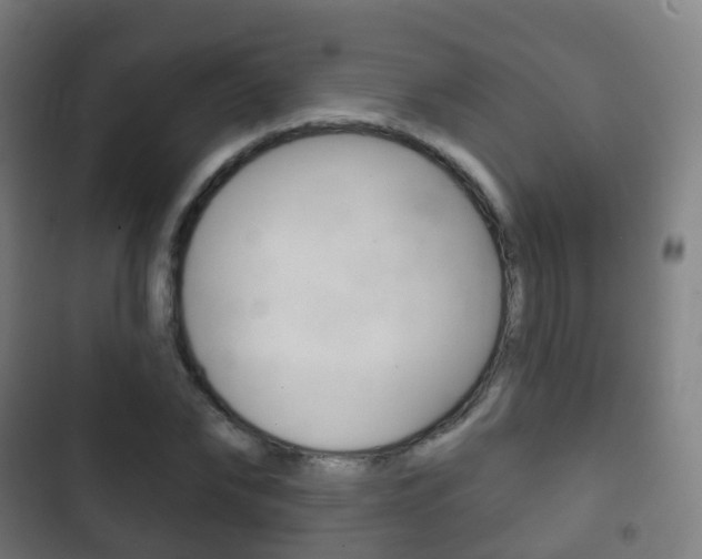 X0000103400878200809120921