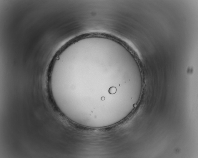 X0000103400879200809120921