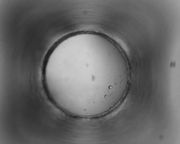 X0000103400880200809120921