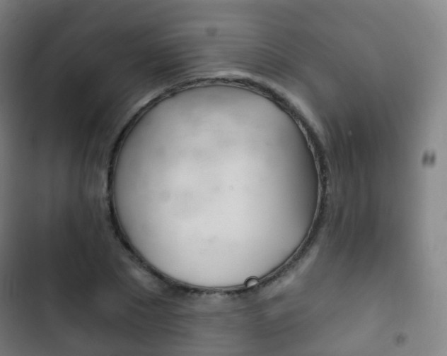 X0000103400881200809120921
